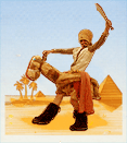 THE CAMEL SHOW - Festival and Street Show
